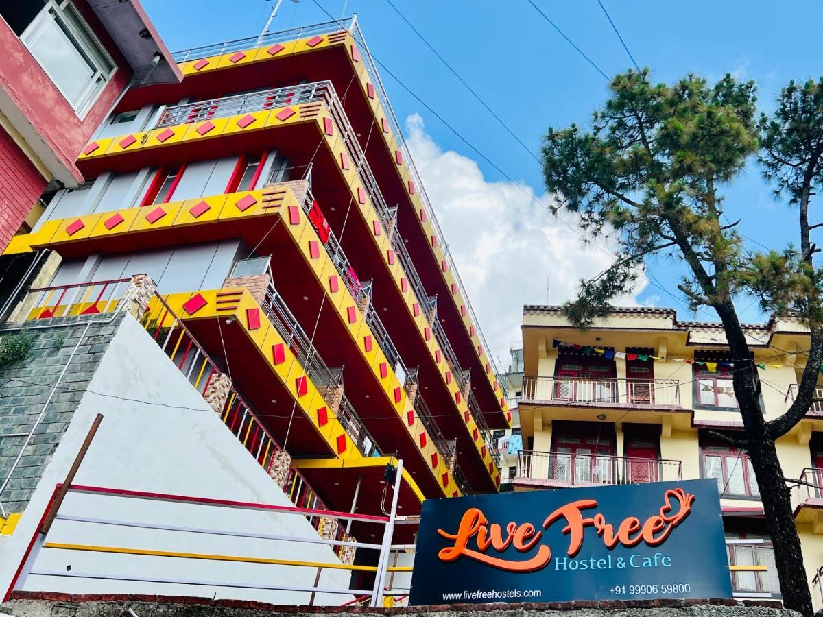 Live Free Hostel, Mcleodganj Маклеод-Гандж Екстер'єр фото