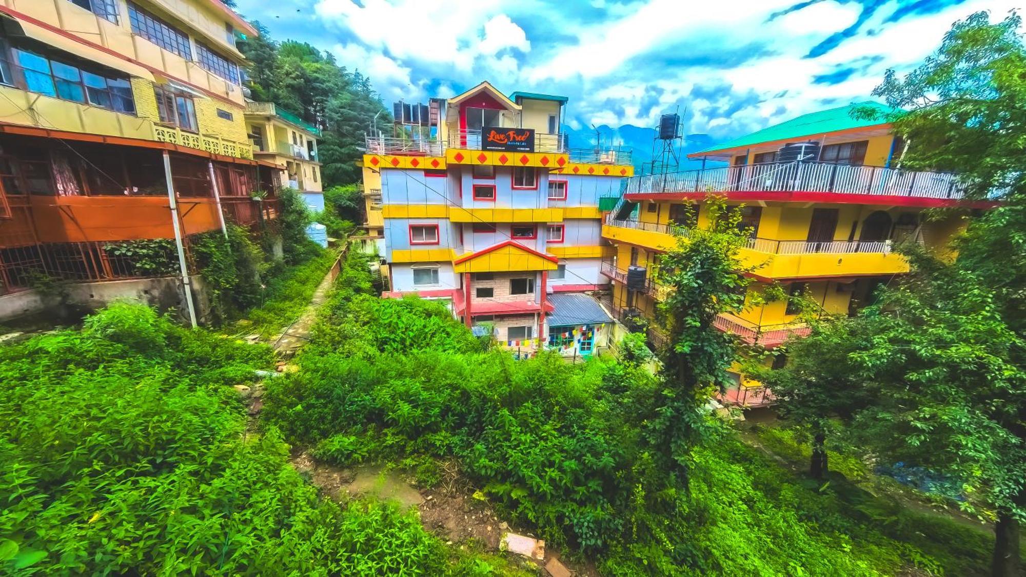 Live Free Hostel, Mcleodganj Маклеод-Гандж Екстер'єр фото